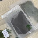 반려식물 테라리움 만들기 이미지