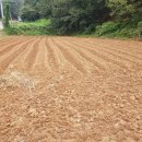 성근농장 이미지