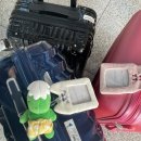 수족관(더블루벨) | 일본에 다녀왔다구요