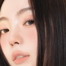 무드무드 이미지