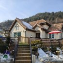 베일리애견풀빌라펜션 이미지