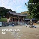 느티나무 할아버지 | [문화유산_144] 전나무가 아름다운 부안 내소사 보물찾기_1010