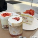 [경기 부천] 신중동역 딸기 생크림 케이크 카페 ‘미블랑 케이크’ 후기🍰