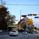 봉의산막국수 이미지