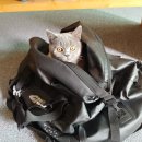 공주님과 제주여행...1편 이미지