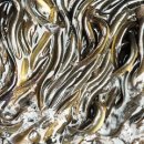 장어와미꾸라지 이미지