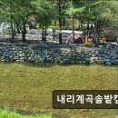 내리계곡 솔밭캠핑장 | ＊강원도추천캠핑장＊ 내리계곡솔밭캠핑장 깨끗하고 조용한 자연 캠핑장
