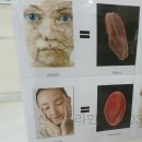 관리하는남여 이미지