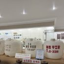 표선면하천리화석박물관 2 | [제주 여행 2일차(2)] 전통 술부터 모두 구경 가능한...가능한 가성비 굿 더포그레이스 리조트 숙박 후기 !