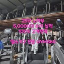 라이프스포츠센터(헬스) | "매트릭스 스텝밀 고장? 천국의 계단이 멈췄을 때, 헬스기구 수리 전문가가 말하는 관리의 모든 것"