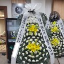 장례식장 - 은평구 통일로88길 21-2 | 장례식장