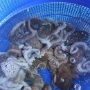 갯바위수산식당