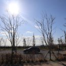 정선 국민여가캠핑장 | 평택항 국민여가캠핑장 예약방법 실제 방문 후기