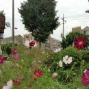 남동족구장 이미지