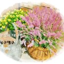 올레 노래연습장 이미지