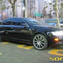 스포르텍 이미지