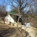 백세공원2 이미지