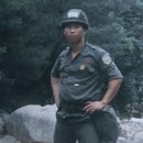 주진상사