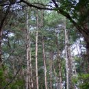 느티농원 이미지