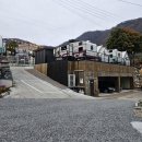 동반84글램핑 | [가평 동반 84 글램핑] 후기 반려견 동반 숙소 이용 후기