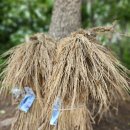 해인상사 이미지