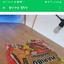 라온캠핑장 이미지