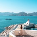 new 구글+SNS+유튜브+최신AI서비스 이미지