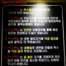 배로배로