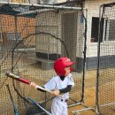 구.화정초 이미지