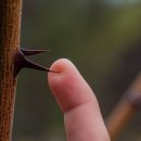 가정1-01-025 이미지