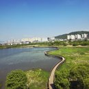 전주 팔복동이팝나무철길 카페오아 이미지