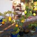 열린타이어카센타 이미지