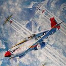 P-51D & Me262A-1a "Tuskegee Airmen & Luftwaffe " #12435 [1/72 ACADEMY MADE IN KOREA] PT1 이미지