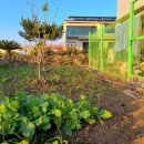 하도 가을이네 민박 이미지