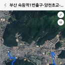 양천초교 Daum카페