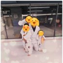 부산주짓수무성도장