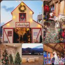 프린스펫 | 서울 근교 크리스마스 카페 추천 l 남양주 팔당 봉주르로 떠나는 겨울 여행