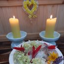 강아지 펫 헤븐 이미지