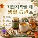 천식농장 | 기관지가 약할 때 먼저 챙길 생활 습관