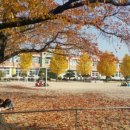 사방초등학교 이미지