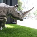 코뿔소PC 이미지