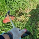 고서방흑염소 이미지