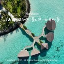 비고리조트 5 | 몰디브 신혼여행 총정리 비용 환전 코스 일정 JW 메리어트 카푸아톨 리조트 올인클루시브 추천