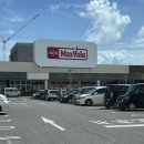 맥스벨 | 이시가키 돈키호테 & 맥스벨류 & 로컬마켓 탐방기
