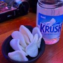 성대시장 | 수원 성대 야장술집 안주가 맛있는 샵도쿄시장 수원성대점 추천 후기