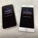 이정두 농장 | 한근 두근 세근 아이폰13 핑크 개봉기