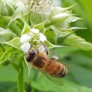 이레농장 이미지