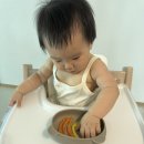 큐브스틱 | &lt;파프리카 큐브&gt; &lt;파프리카 스틱&gt; 만들기 후기이유식 후기1단계 토핑이유식 자기주도식이유식