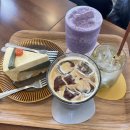 영랑호수공원 | 속초여행 88생선구이 강추 영랑호수공원 자전거타기 범바위 속초 가볼만한곳 추천 내돈내산