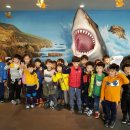 JMT 연세정무태권도 줄넘기스쿨 마곡점 이미지